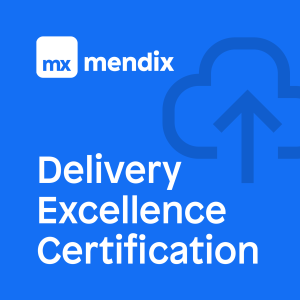 Netribe Ultra Mendix Delivery Excellence Certification